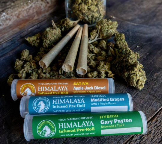 INFUSED PREROLL - SATIVA - LEMON PLUOT - 1G