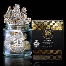 MAVEN - FLOWER - HYBRID - FRENCH LOTUS - 3.5G
