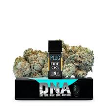 PLUGPLAY - POD - DNA - INDICA - FIRE OG - 1G