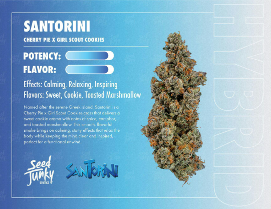 SEED JUNKY - FLOWER - HYBRID - SANTORINI - 3.5G 