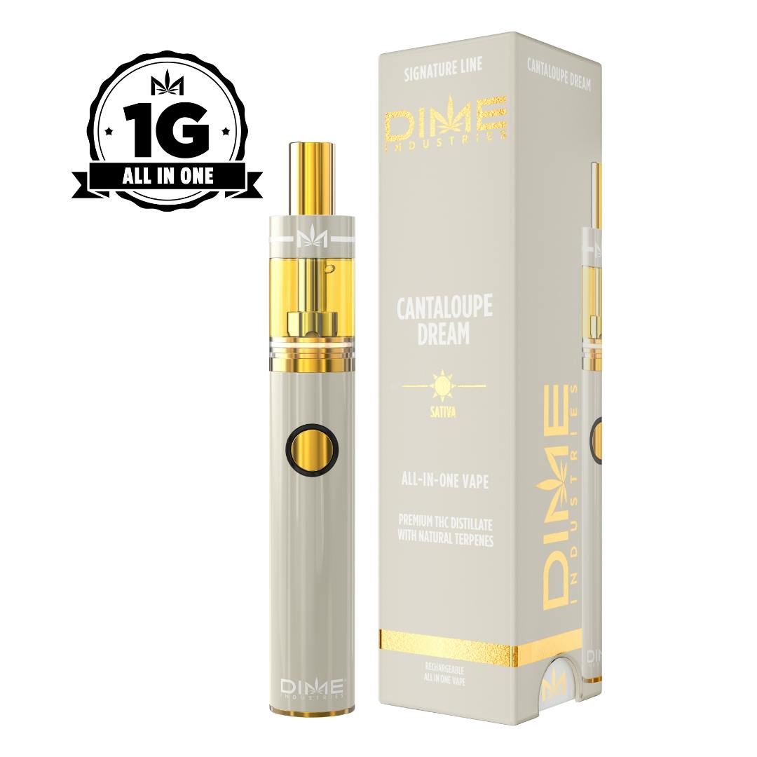Cantaloupe Dream All-In-One | 1g
