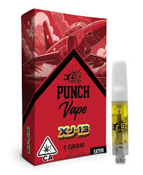 Punch extracts - XJ-13
