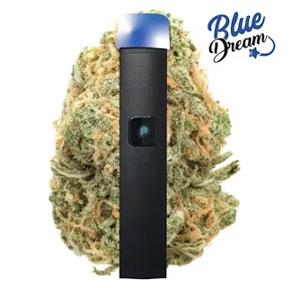 Plugplay - BLUE DREAM 1G