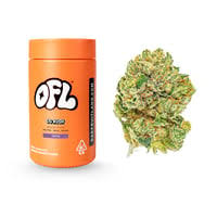Oakfruitland - OG Kush - 7 g Main Image