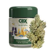 Cbx - GLUETOPIA - 3.5 g