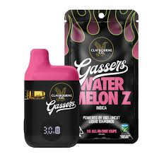 Claybourne co. - Watermelon Z - 1 g