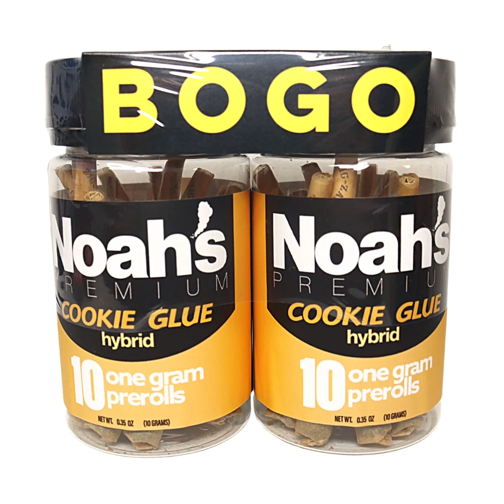 Noah's premium - COOKIE GLUE BOGO 2-10 PK HYBRID