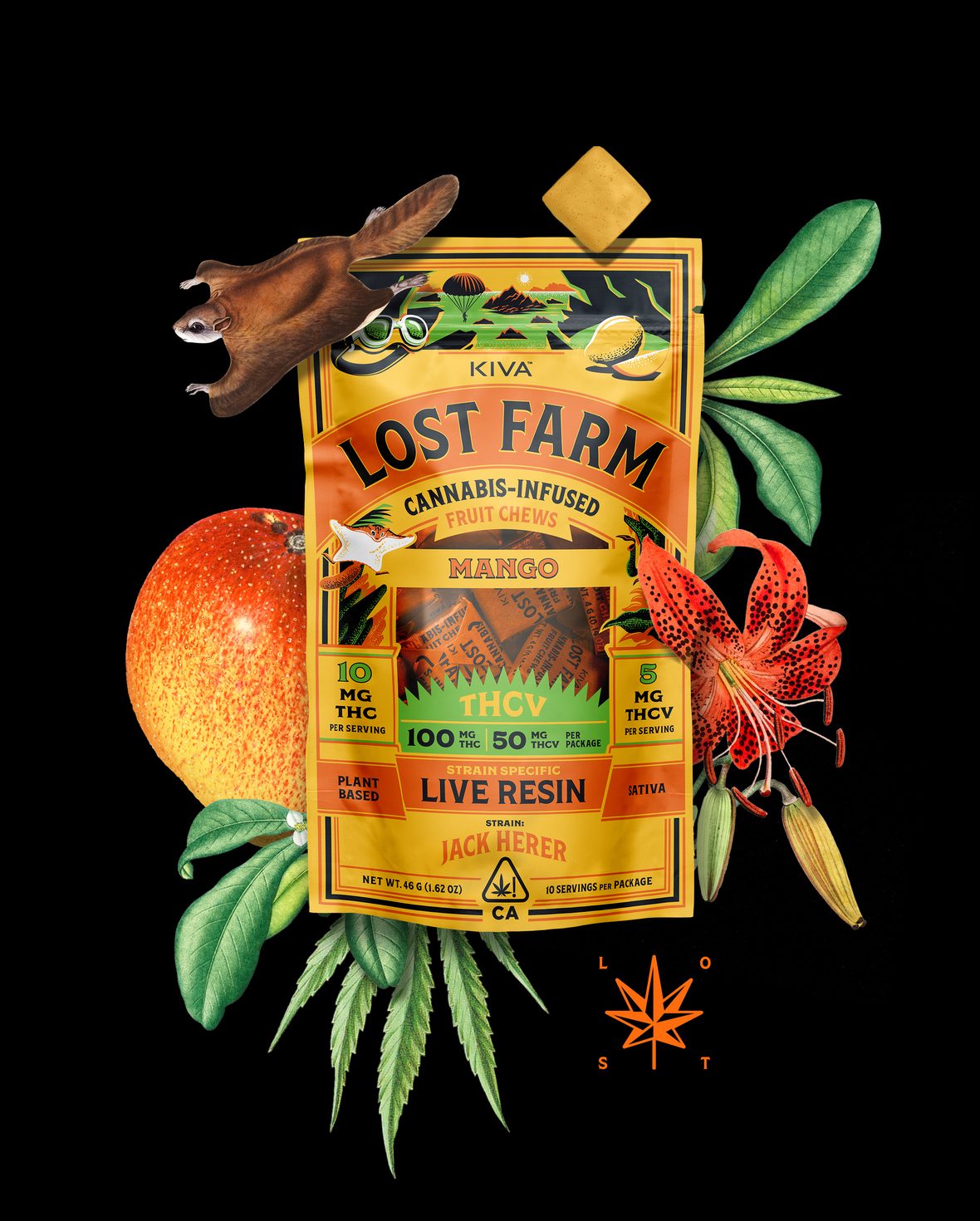 Lost farm - MANGO JACK HERER THCV 10:5