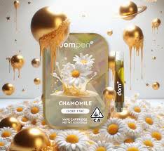 Dompen - CHAMOMILE 12:1 - 1 g