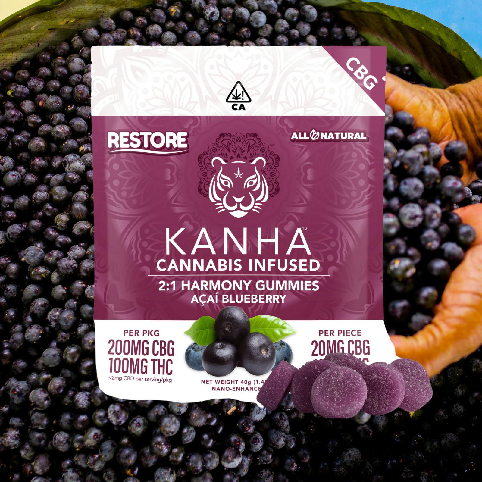 2:1 CBG:THC NANO ACAI BLUEBERRY