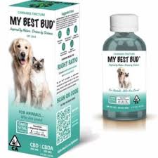 OMD Vital | 300MG CBD