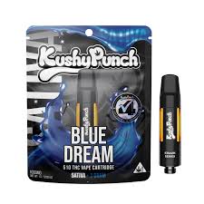 BLUE DREAM | 510