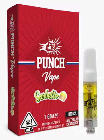 Punch extracts - SORBETTO (1G)