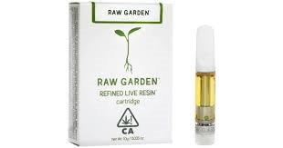 Raw garden - HONEYDEW MOJITO