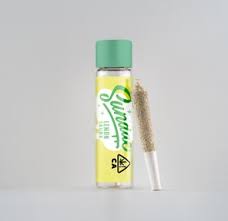 Infused Preroll - Lemon Skunk - 2 g