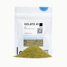 Gelato 41 - 21 g