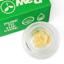 Italian Soda | LIVE ROSIN
