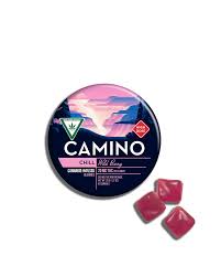 Camino - WILD BERRY