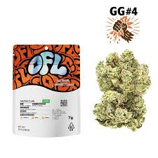 GG#4 - 7 g