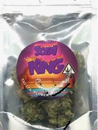 Sofa king - SOFA KING SKUNKEE - 1 g