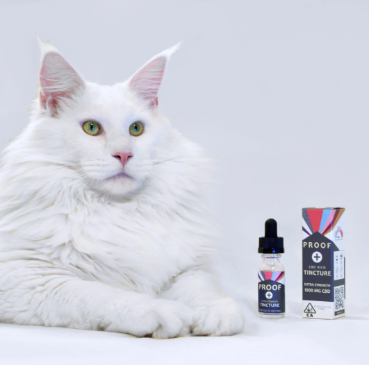 CBD ONLY DROPS 15ML - 1000MG CBD, <2 MG THC