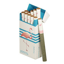 CLASSIC INDICA - 10PKS