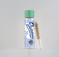 Infused - Blue Dream - 2 g