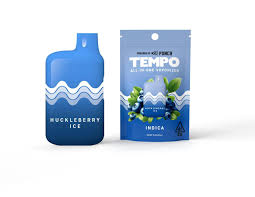 Tempo - HUCKLEBERRY ICE