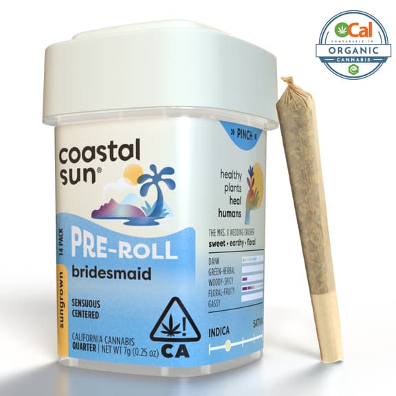 Coastal Sun — Bridesmaid