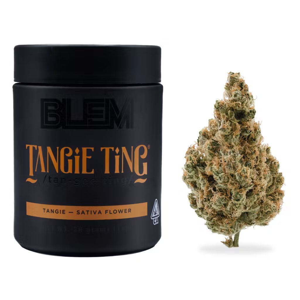 BLEM — Tangie Ting