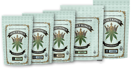Quiet Kings: Gorilla Glue