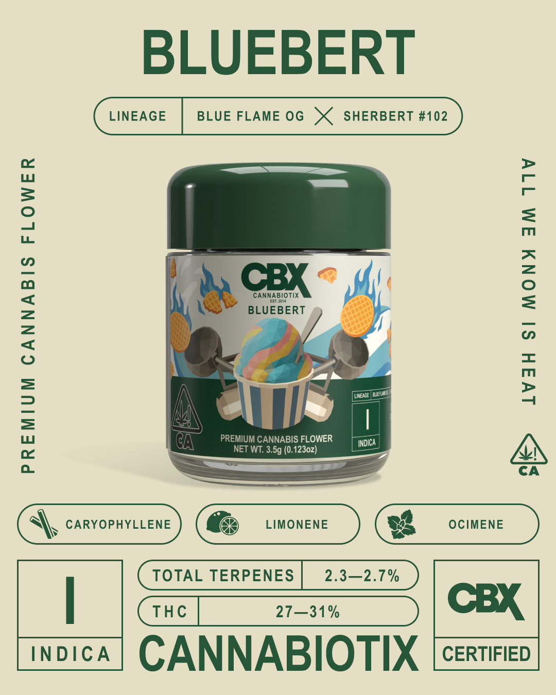 CBX — Bluebert