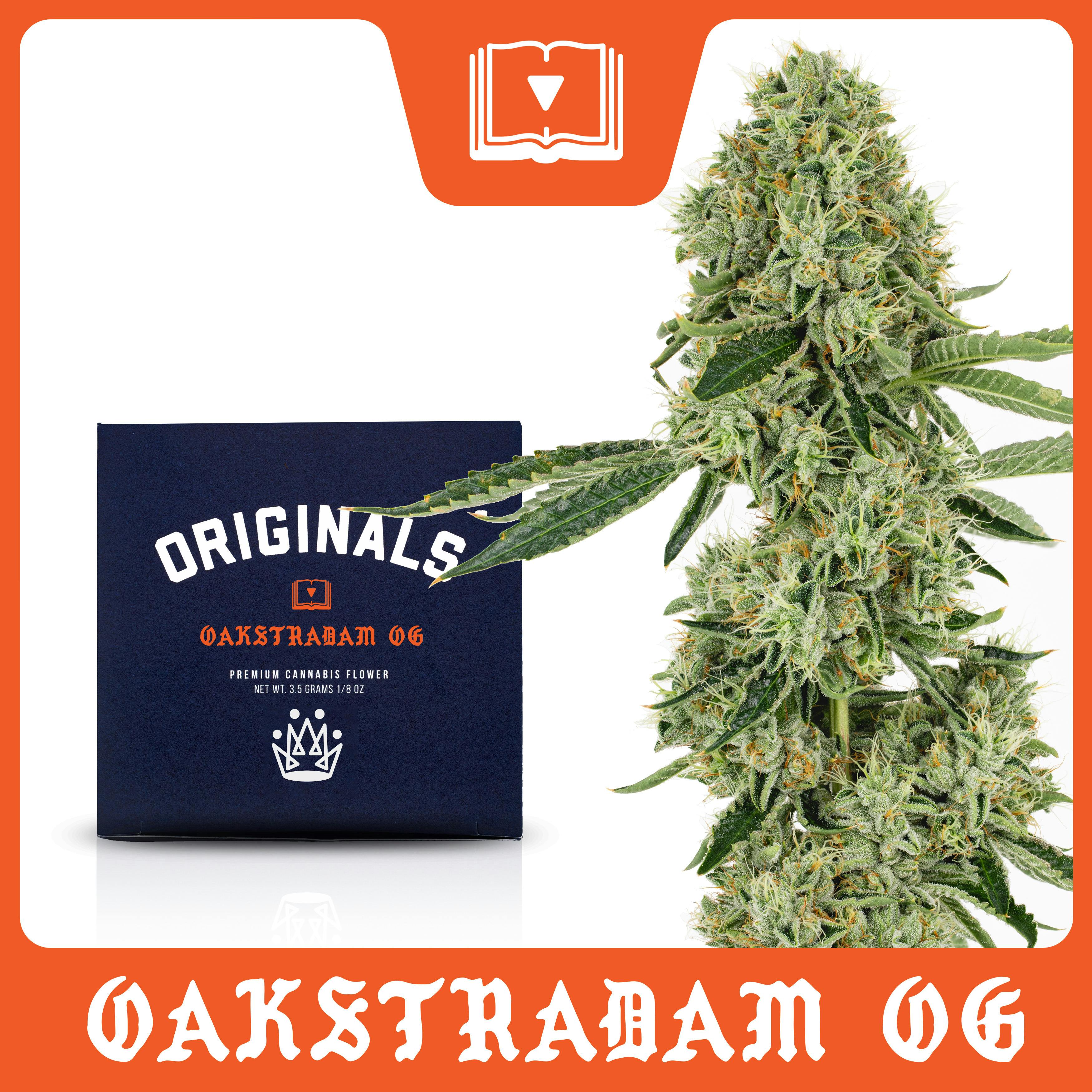 Originals: Oakstradam OG