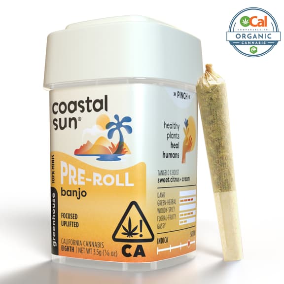 Coastal Sun: Banjo