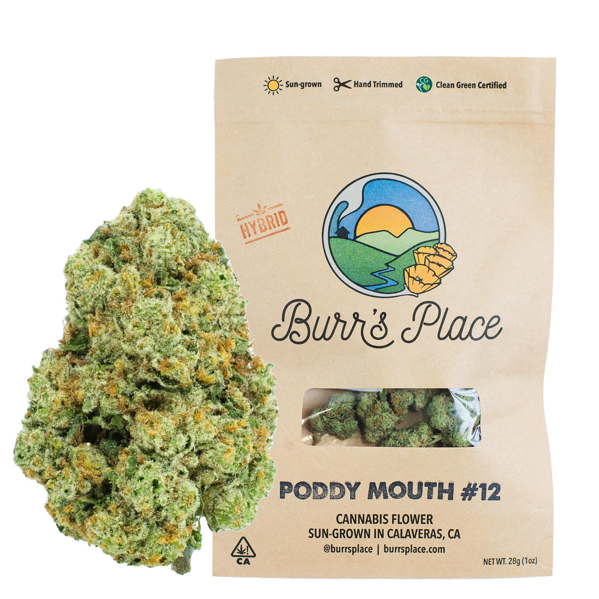 Burr's Poddy Mouth Ounce - 28g in Diamond Springs