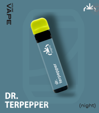 Disposable | Dr. Terpepper | 1G