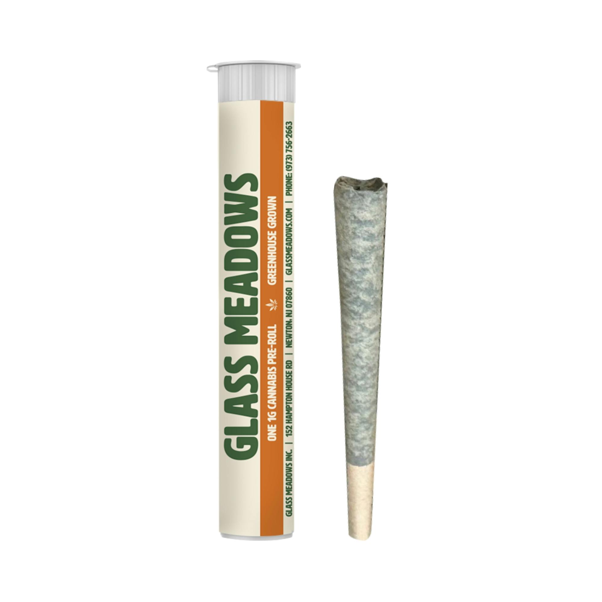 Preroll | Chem Dawg | 1g