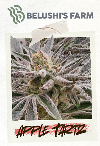 Belushi Farms | Flower | Apple Tartz | 3.5g