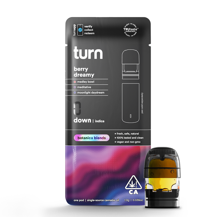 BERRY DREAMY 1G POD