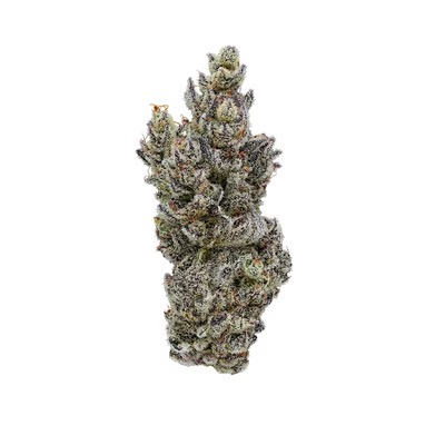 ZODASHI 3.5G BOUTIQUE FLOWER