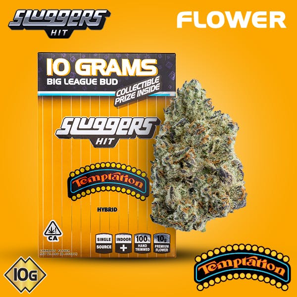 TEMPTATION 10G BIGS
