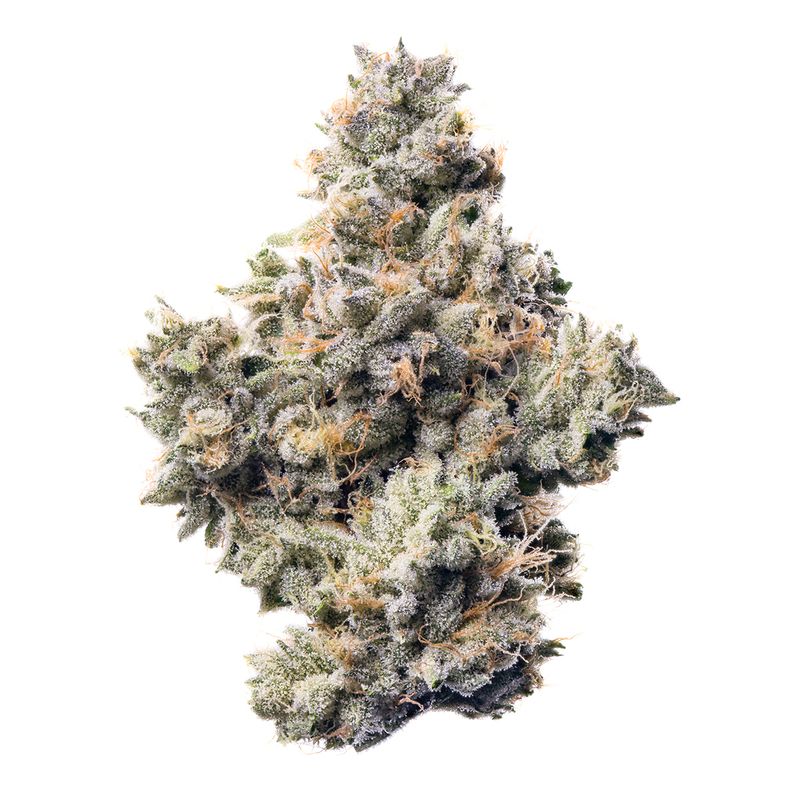 Z-TYPE-S 3.5G BOUTIQUE FLOWER
