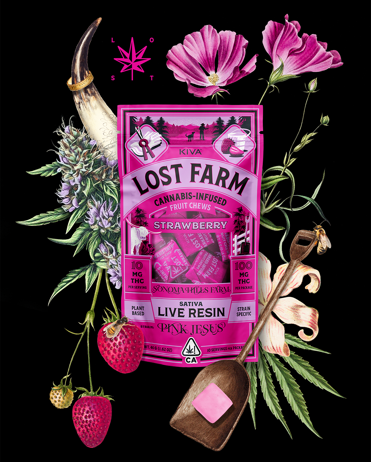 STRAWBERRY PINK JESUS 100MG LOST FARM CHEWS