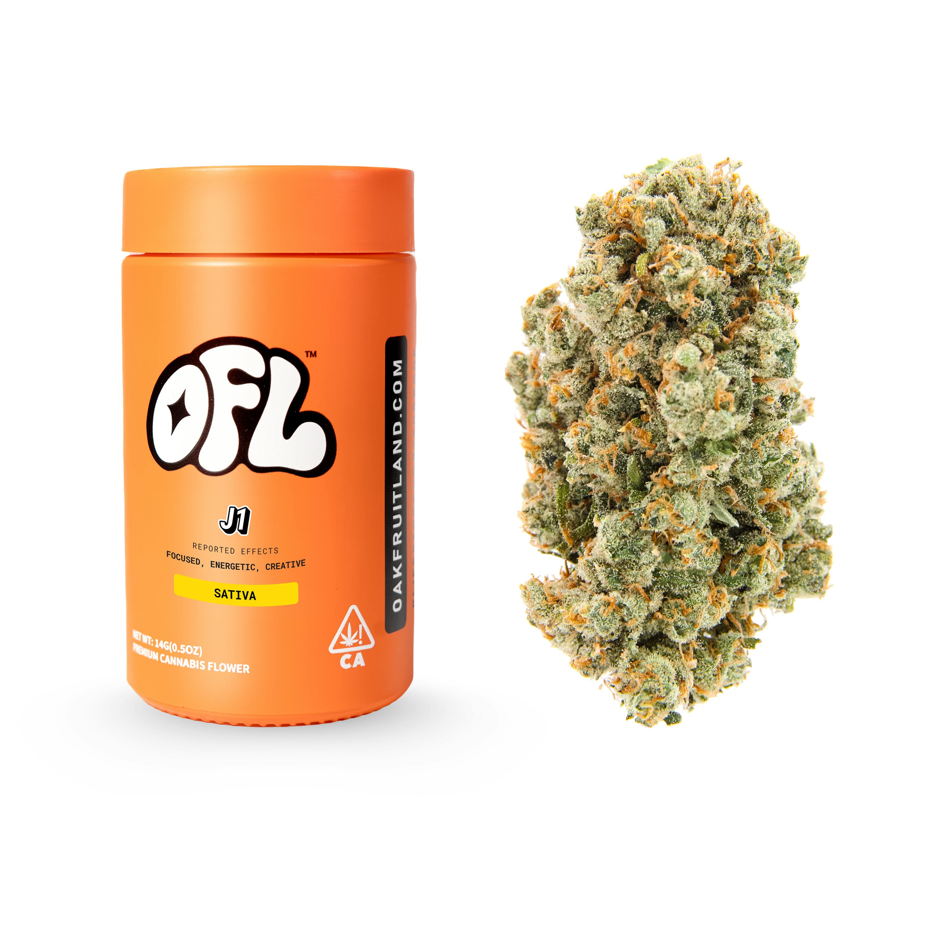 J1 14G BIGS JAR