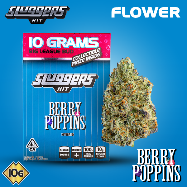 BERRY POPPINS 10G BIGS