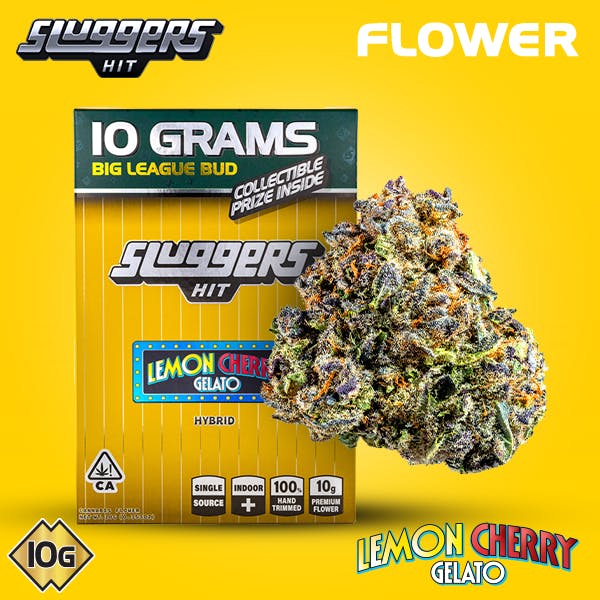 LEMON CHERRY GELATO 10G BIGS