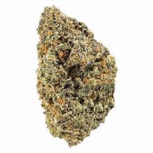 TERP — Birthday Cake