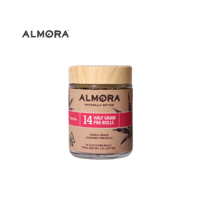 ALMORA: Blueberry Pancakes