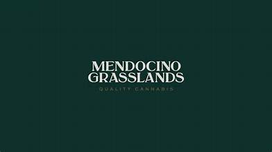 Mendocino Grasslands: Sasso Cookies