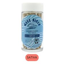 Wave Rider — Dream Diesel